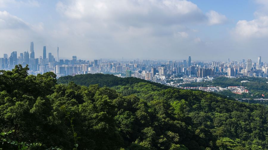 精選｜廣州塔+陳家祠+白雲山+沙面+永慶坊+珠江夜遊一日遊