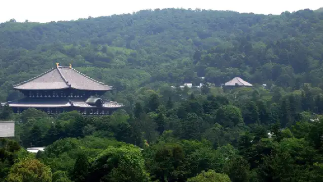 日本大阪通天閣+大阪城公園+心齋橋+道頓堀一日遊