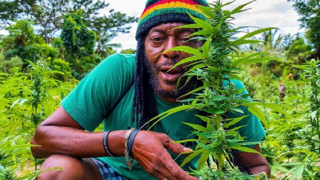 Esperienza culturale in quad con la comunità Rastafari da Montego Bay