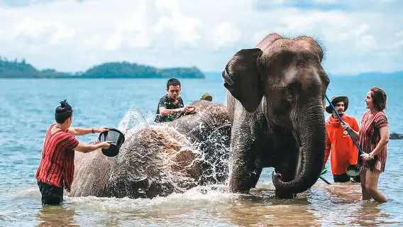 普吉島Lily莉莉大象保護營半日遊含餐 喜力海景象園