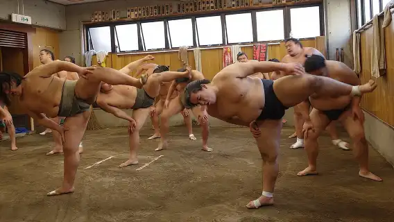 Sumo Morning Training Watch in Tokyo,Hotel-pickup w/English guide