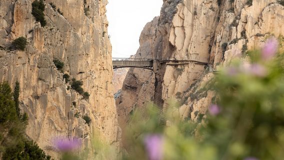 Caminito del Rey. Guided tour in Italian from El Chorro