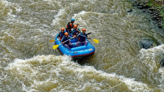 KL: Day Tour with Rafting, Fireflies, and Meals