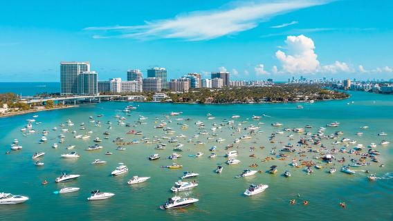 Shore Excursion from Port of Miami: City and Cruise Tour