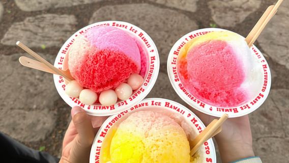 Oahu: Perjalanan Sehari ke Pulau Circle dengan Makan Siang Sepiring Udang