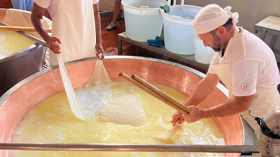 Parma: tour di formaggi, prosciutto e aceto balsamico con degustazioni