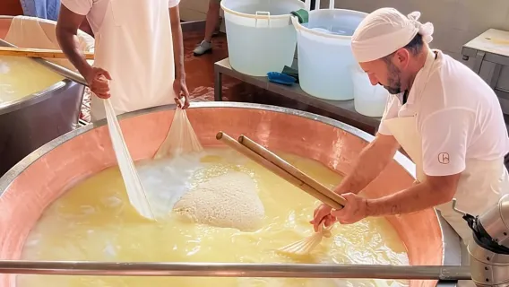 Parma: Tur Keju, Ham, & Cuka Balsamic dengan Pencicipan