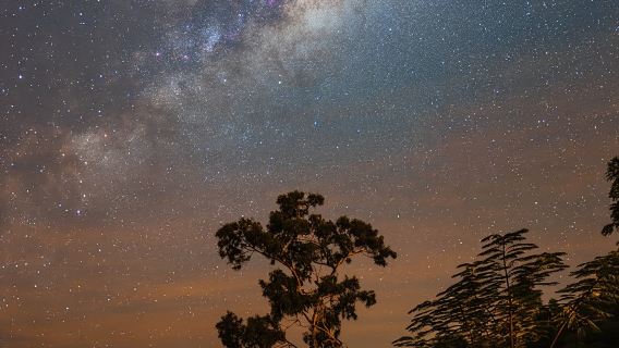 Blackheath : Atelier de photographie du ciel nocturne
