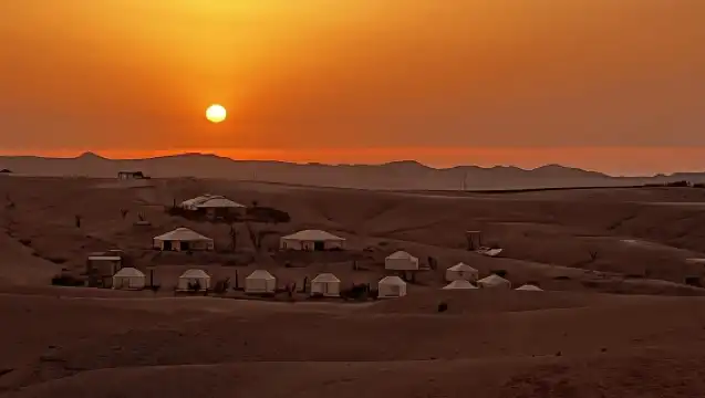Quad bike & camel ride with Sunset Views & Dinner Show