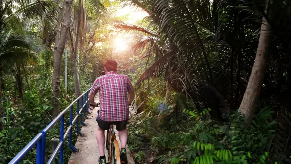 Featured tour with 21 reviews: Twilight Firefly Bangkok Bicycle Tour