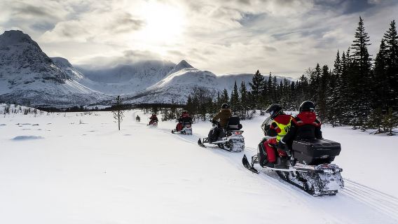 From Tromsø: Snowmobile Safari in the Lyngen Alps