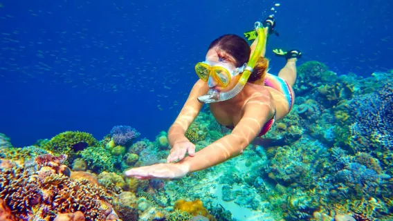 [from BALI] Snorkeling + Lunch + Return Boat Ticket + Private Transport