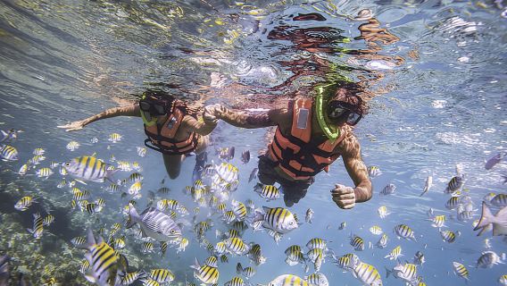 OTA CATAMARAN PRIME Admission