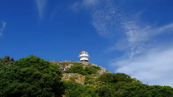 ทัวร์ 1 วัน จาก Cape Town ประเทศแอฟริกาใต้