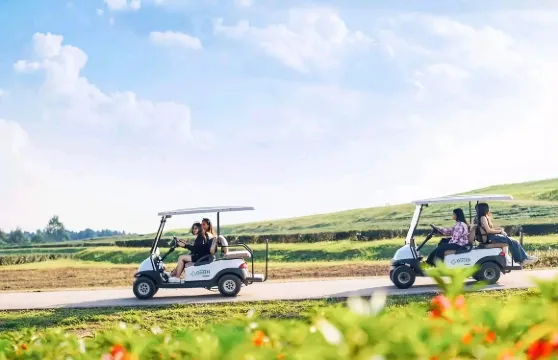 清萊3廟+金三角公園一日遊【私享小團|中英文司機|2人起發】