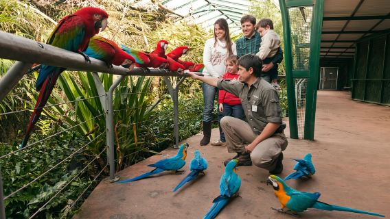 從布宜諾斯艾利斯出發:特邁肯動物園之旅(含門票)
