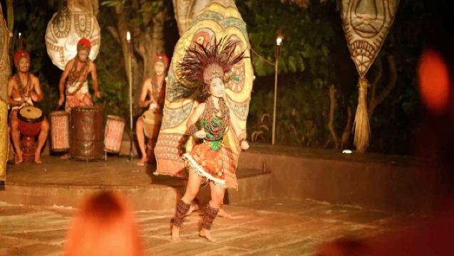 Bali Safari Park: Night Safari Package