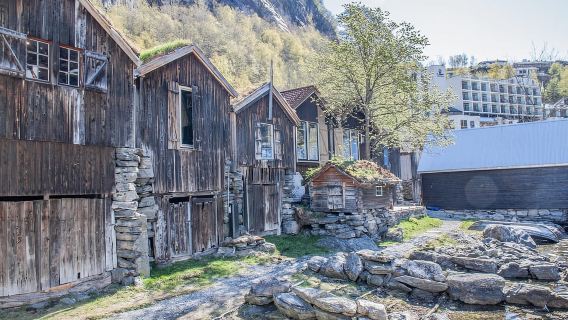 Ålesund to Geiranger Fjord Boat Tour with Return Bus Tour