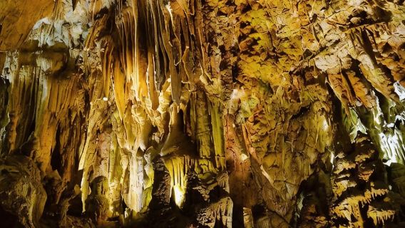 1-day round-trip tour from Belgrade to Manasija Monastery + Resava cave in eastern Serbia
