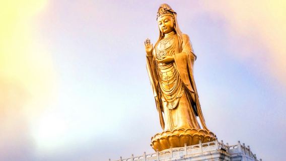 舟山普陀山風景區一日遊丨一價全含丨含門票+船票+午餐+導覽