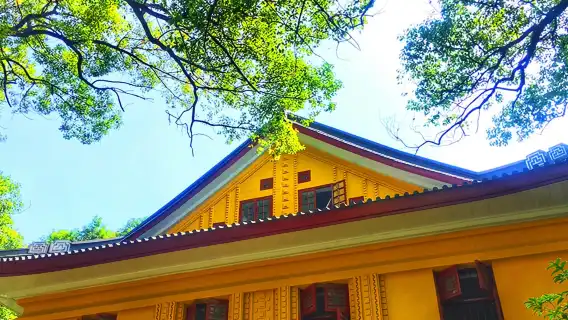 陽朔世外桃源+象鼻山+獨秀峰王城設施+東西巷一日遊【獨立包團】