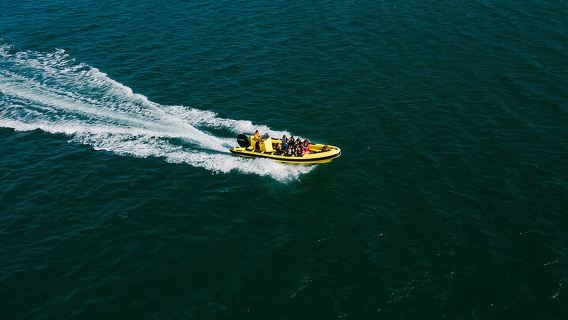 Hop On Hop Off 3 Islands: Deserta, Farol and Culatra