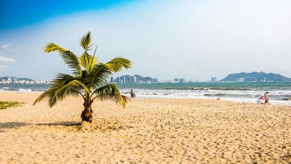 帕爾馬馬洛卡福門托爾角+阿爾庫迪亞海灘一日遊