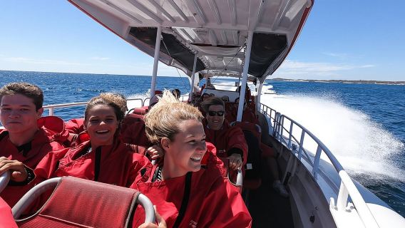 Adventure Rottnest Tour with Ferry & Adventure Cruise