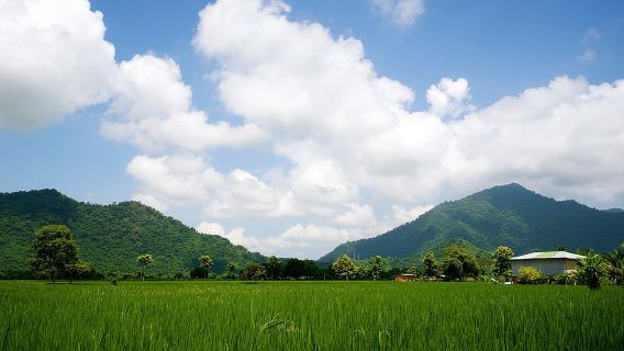 Tour di un giorno intero per piccoli gruppi a Guayaquil e alle piantagioni di cacao