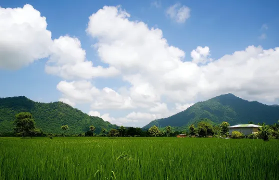 瓜亞基爾及可可農場小團全日遊
