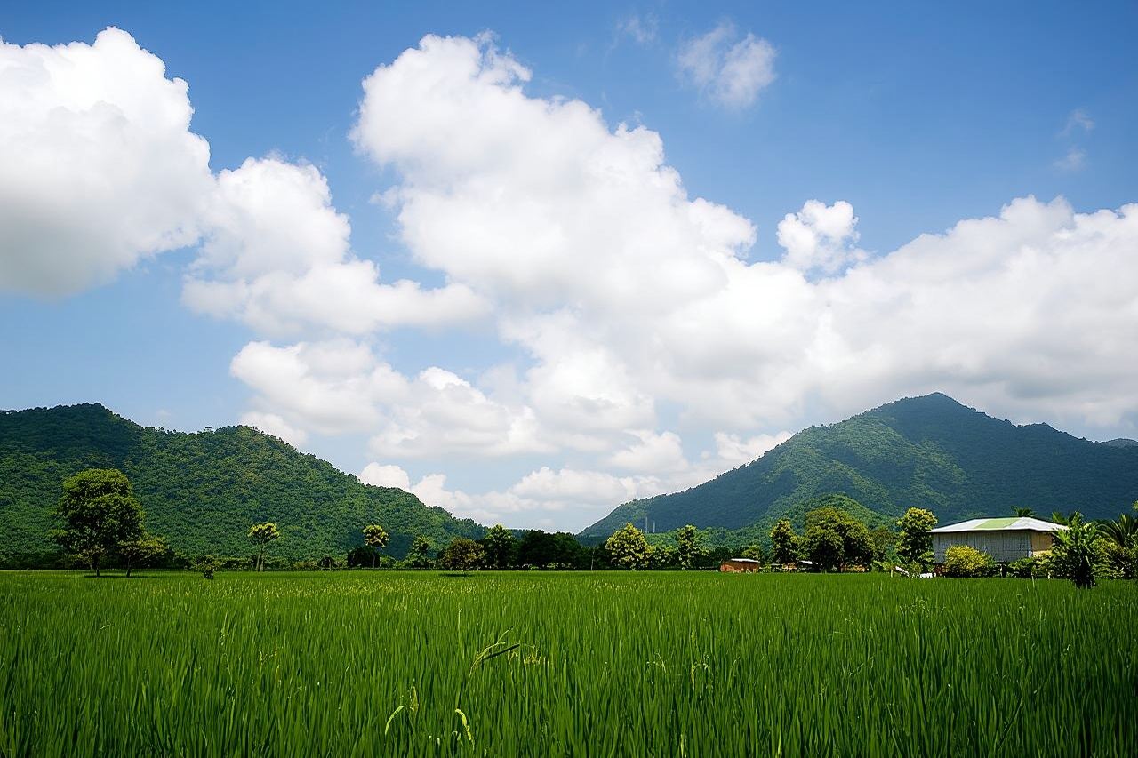 少人数グループによるグアヤキルとカカオ農園の終日ツアー
