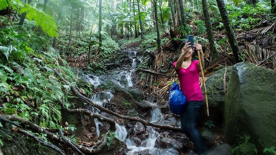 เดินป่า/ปีนเขาที่ปล่องภูเขาไฟ (Mt. Liamuiga)