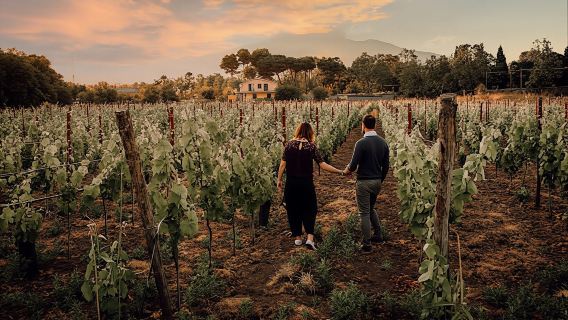시칠리아에서 석양을 바라보며 포도밭 산책을 하고 고급 와인 페어링 저녁 식사를 즐겨보세요.