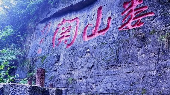 遵義日遊