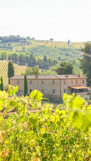 Half-day tour of the Chianti wine region in Italy|Includes visits and tastings at 2 wineries|Morning or afternoon option
