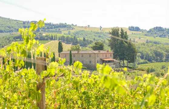 意大利基安蒂葡萄酒產區半日遊|含2座酒莊參觀品酒|上午或下午可選