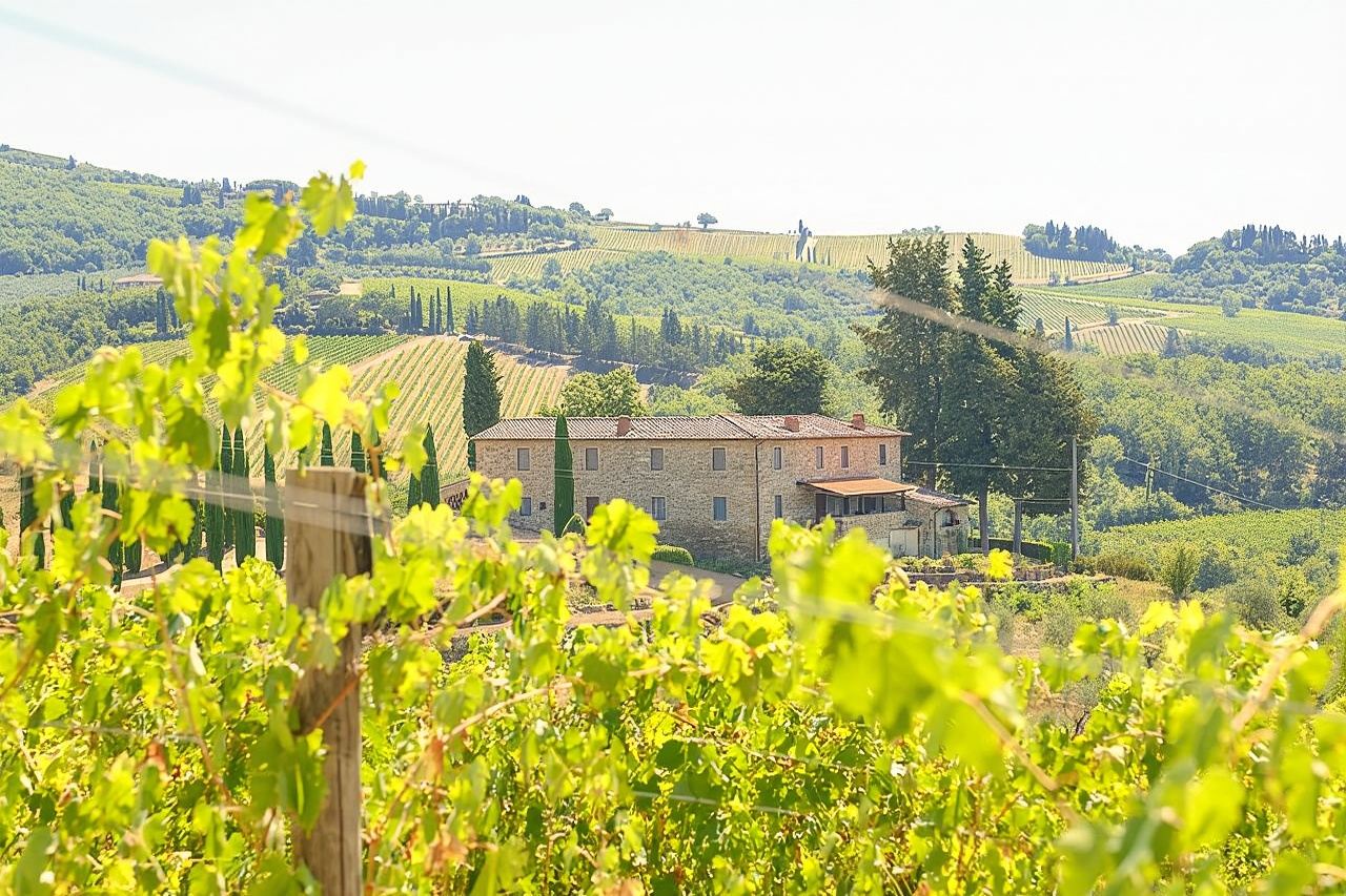 Tour giornaliero nella regione vinicola del Chianti in Italia|Include la visita e la degustazione in 2 cantine|Opzione mattina o pomeriggio