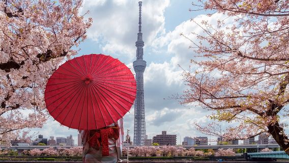 Tour privado y personalizable por Tokio con chófer de habla inglesa