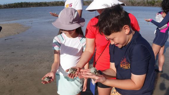 Tour di 2 ore in barca per la raccolta di conchiglie nelle 10.000 isole
