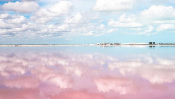 Excursión de un día a México + Cancún + Playa Las Coloradas + Ría Lagartos