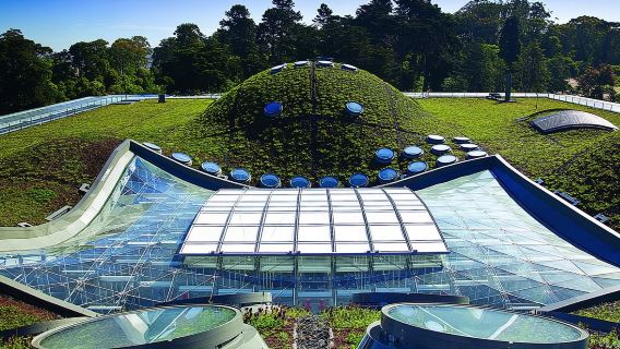 美國舊金山市區經典一日遊&可定制【中文專車-舒適純淨】