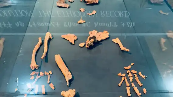 เตรียมตัวสำหรับทัวร์หนึ่งวันที่ดีที่สุดในแอดดิสอาบาบา