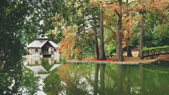 ทัวร์ชมและชิมไวน์พร้อมไกด์ของ Amarone Chateau ใน Valpolicella