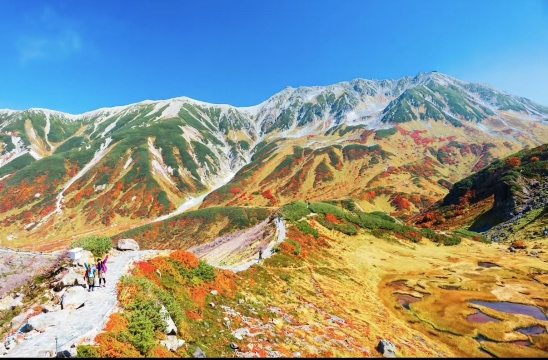 【大阪來回接送】2026立山黑部＋上高地 玩轉阿爾卑斯山脈