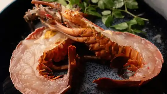 Teppanyaki in Tokyo | Nishiazabu Teppanyaki Kichi | Wagyu & Kobe Beef Experience