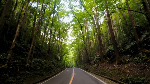 Tour della campagna di Bohol con Southwest Tours