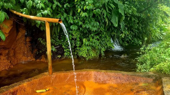 Dominica: Middleham Falls, Titou Gorge, and Trafalgar Falls…