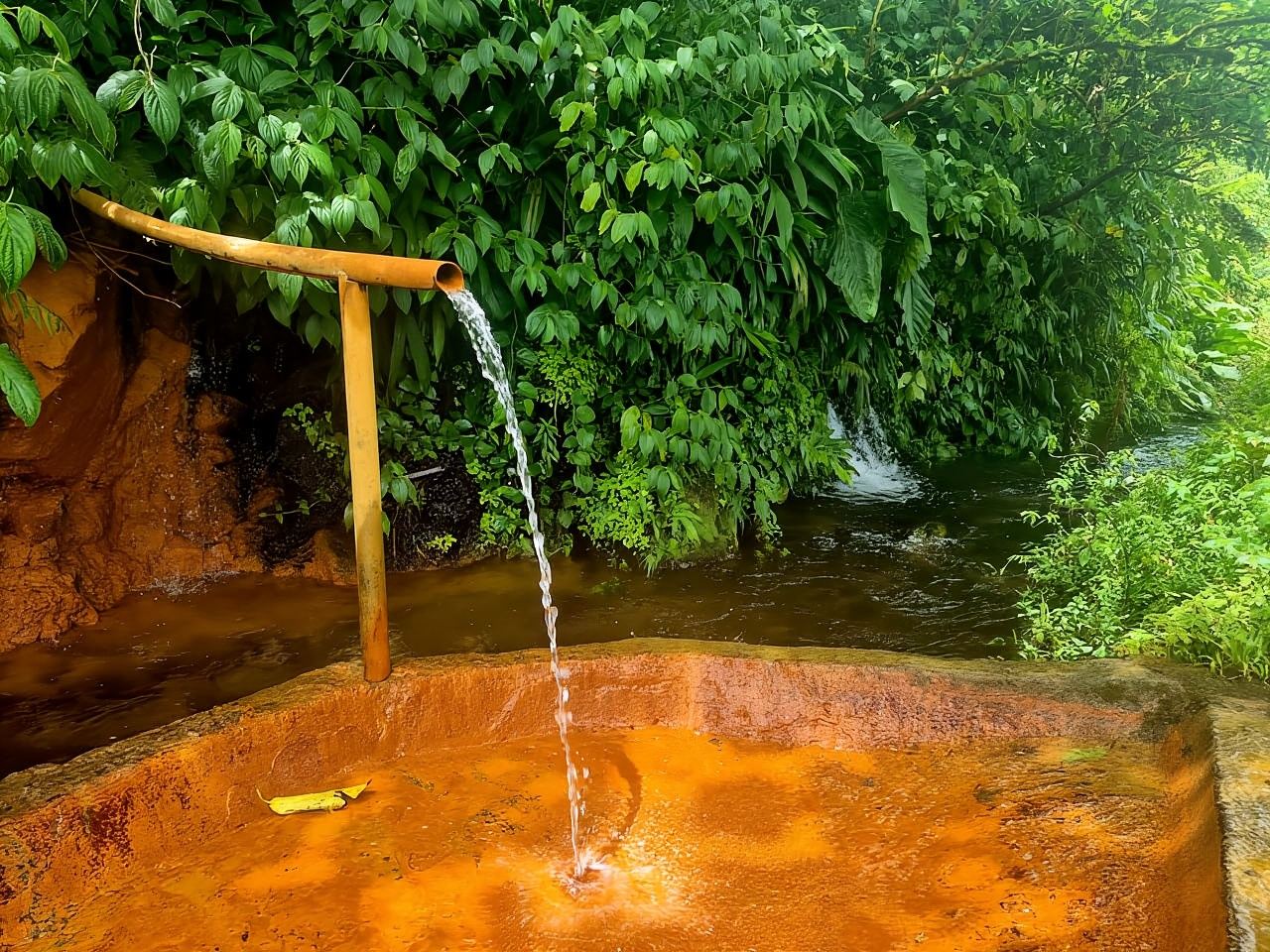 Dominica: Air Terjun Middleham, Gorge Titou, dan Air Terjun Trafalgar…