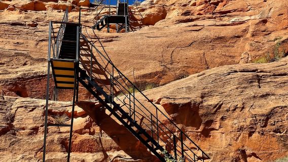 Trang: Tour tham quan Hẻm núi Deer Slot có hướng dẫn