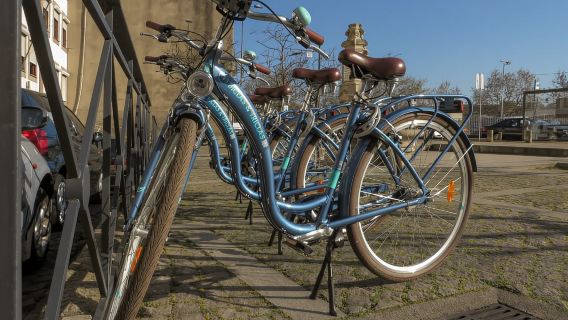 Pacchetto autoguidato in bicicletta per surfare e mangiare